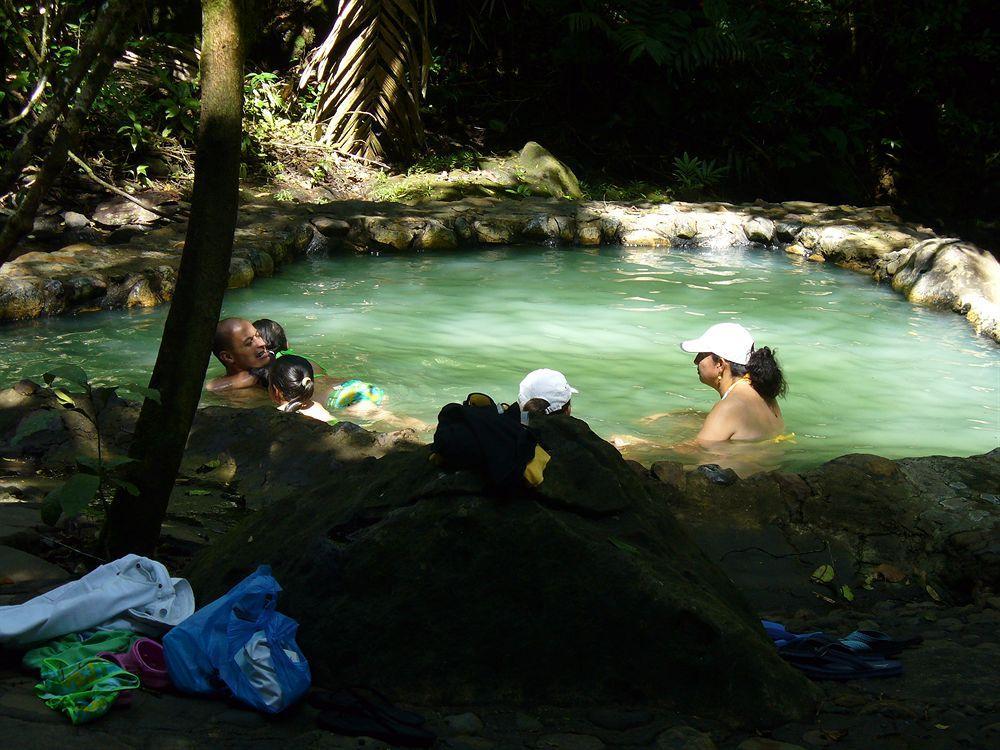Termales Del Bosque & Hot Springs Hotell La Marina Eksteriør bilde