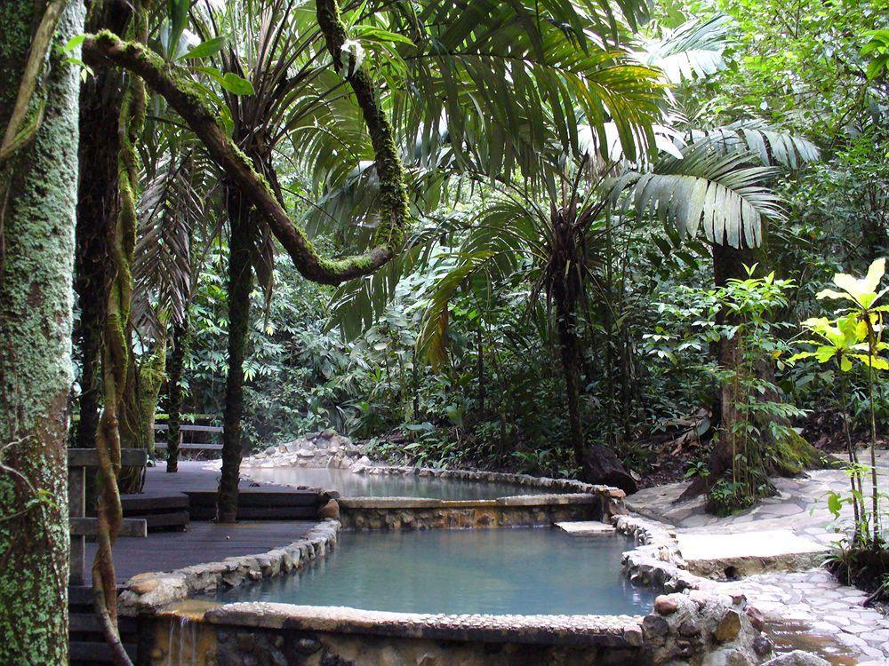 Termales Del Bosque & Hot Springs Hotell La Marina Eksteriør bilde