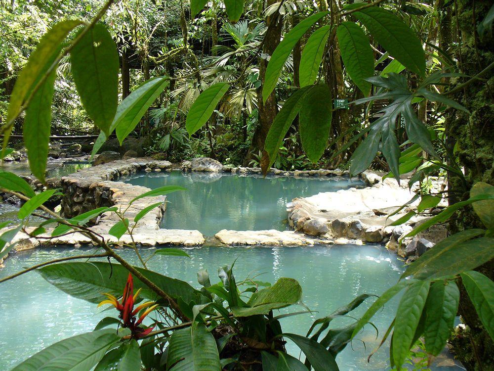 Termales Del Bosque & Hot Springs Hotell La Marina Eksteriør bilde