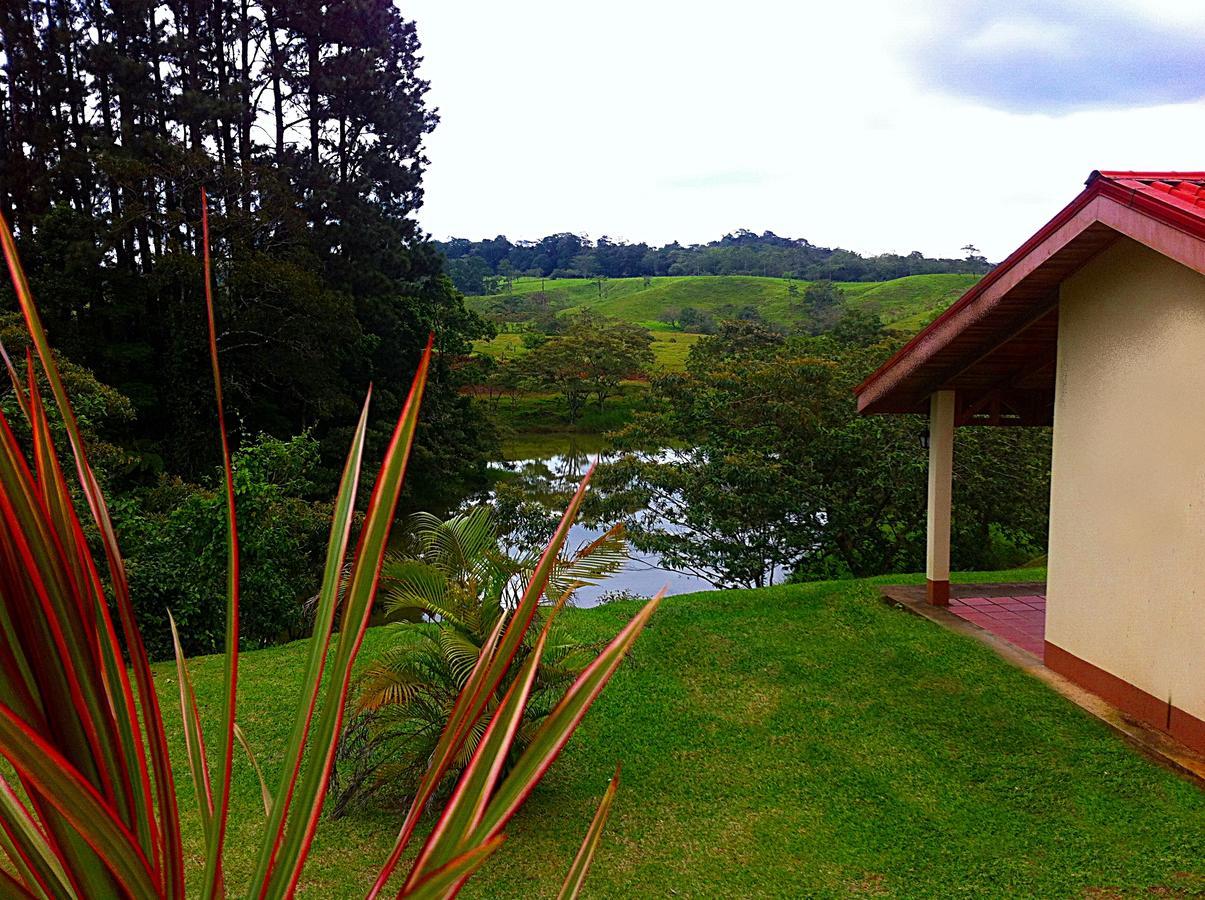 Termales Del Bosque & Hot Springs Hotell La Marina Eksteriør bilde
