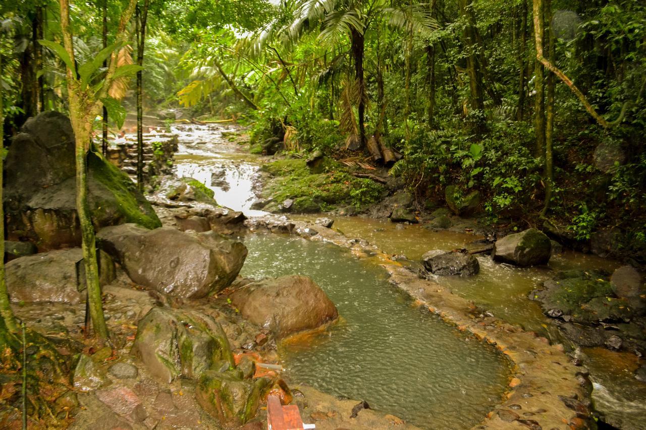 Termales Del Bosque & Hot Springs Hotell La Marina Eksteriør bilde