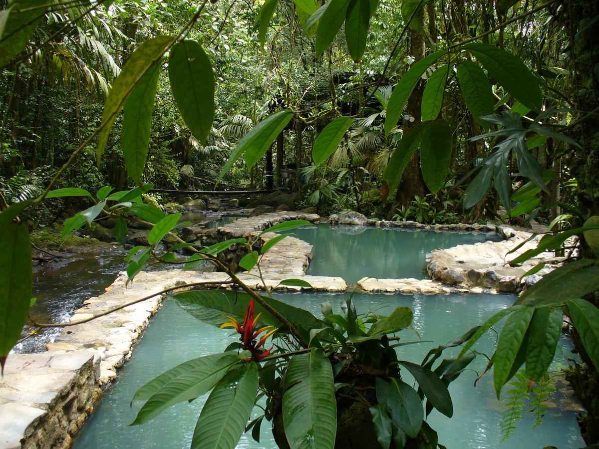 Termales Del Bosque & Hot Springs Hotell La Marina Eksteriør bilde