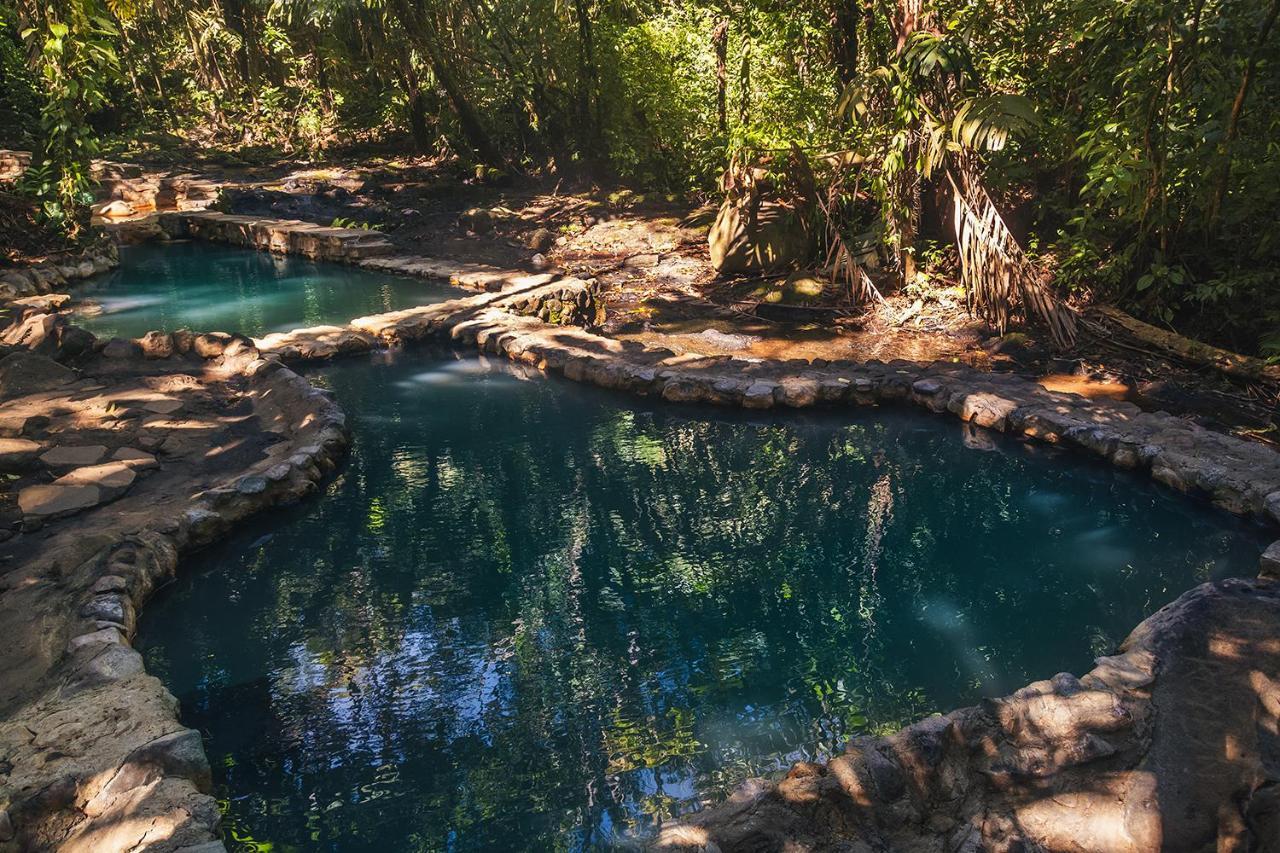 Termales Del Bosque & Hot Springs Hotell La Marina Eksteriør bilde