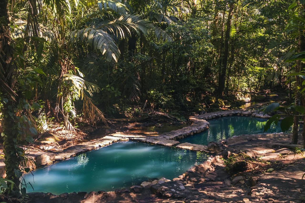 Termales Del Bosque & Hot Springs Hotell La Marina Eksteriør bilde